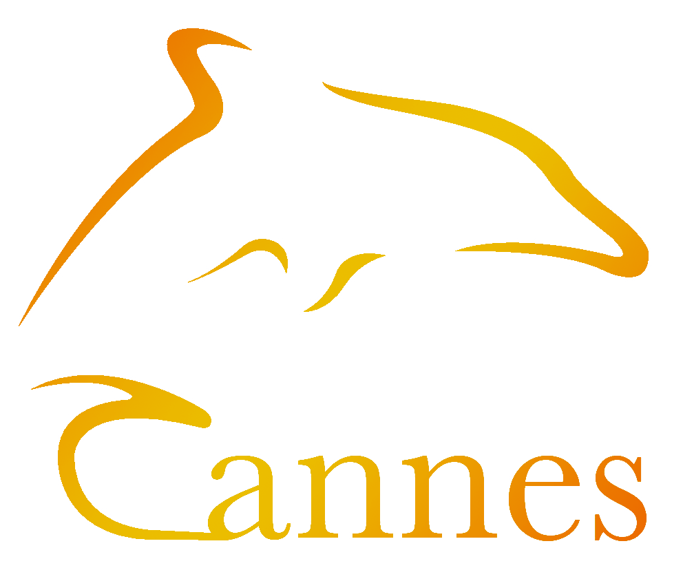 Cannes Corporate Media & TV Awards 2013